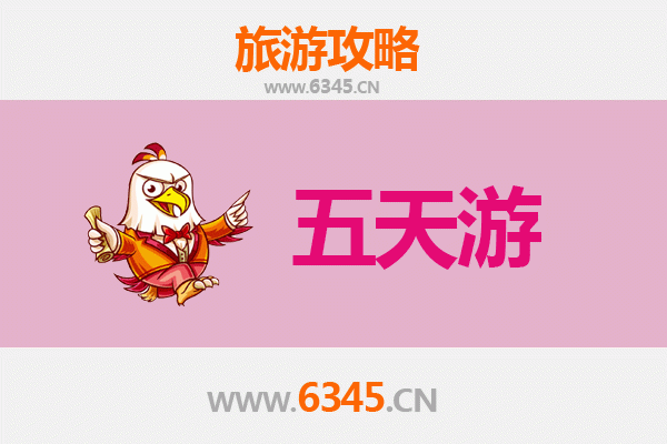万宁北大镇五天四夜深度游攻略：探索海南隐秘雨林与黎族文化