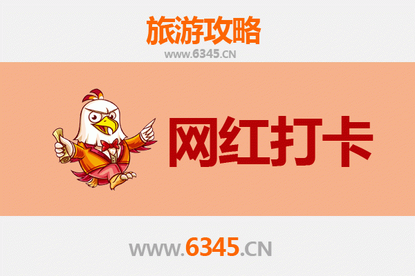 万宁北大镇网红打卡地全攻略：探秘雨林深处的隐秘角落